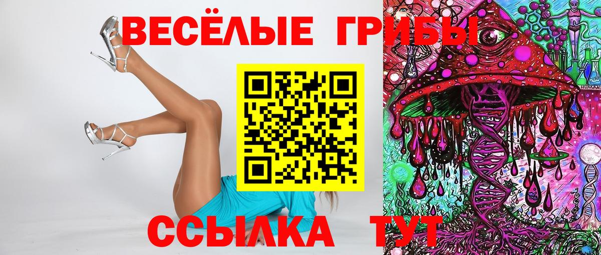 Галлюциногенные грибы Psilocybine cubensis Копейск