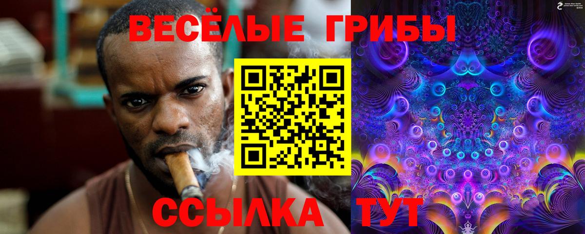 Псилоцибиновые грибы Magic Shrooms  Вход с VPN  Псилоцибиновые грибы ЛСД  Копейск 